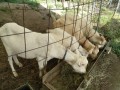 IMG_20260526_083209