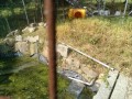 IMG_20260526_083346