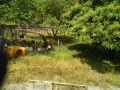 IMG_20260526_083357