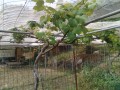 IMG_20260526_092119