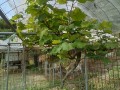 IMG_20260526_092128