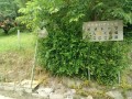 IMG_20260527_083434