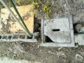 IMG_20260527_083440
