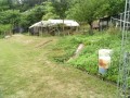 IMG_20260527_083521