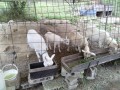IMG_20260527_084156