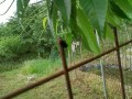 IMG_20260527_084304