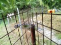 IMG_20260527_084307