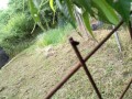 IMG_20260527_084311