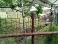 IMG_20260527_084430