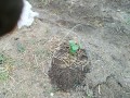 IMG_20260527_092525