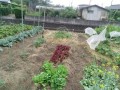 IMG_20260527_092547