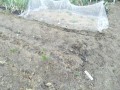 IMG_20260527_092555