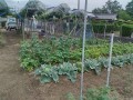 IMG_20260527_092601
