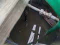 IMG_20260528_085335