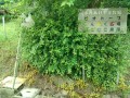 IMG_20260528_085346