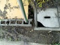 IMG_20260528_085354