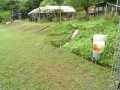 IMG_20260528_085520