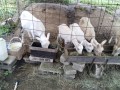 IMG_20260528_090842