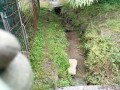IMG_20260528_090913