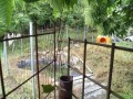 IMG_20260528_091007