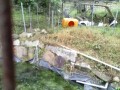 IMG_20260528_091127