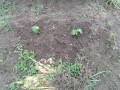 IMG_20260528_121242