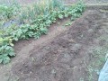 IMG_20260528_121253