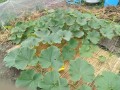 IMG_20260528_121300