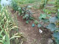 IMG_20260528_121312