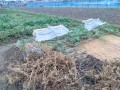 IMG_20260528_121326
