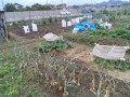 IMG_20260528_121329