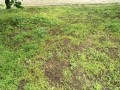 IMG_20260528_122325