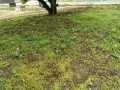 IMG_20260528_122327