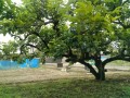 IMG_20260528_122329