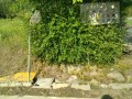 IMG_20260529_080132