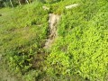 IMG_20260529_080200