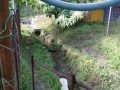 IMG_20260529_082918