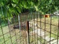 IMG_20260529_082936
