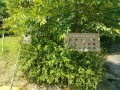 IMG_20260530_092052