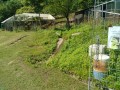 IMG_20260530_092231