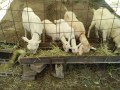 IMG_20260530_093652