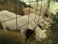 IMG_20260530_093714