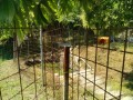 IMG_20260530_093759