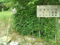 IMG_20260531_062800