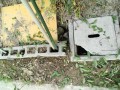 IMG_20260531_062808