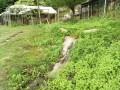 IMG_20260531_062852