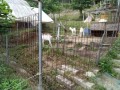IMG_20260531_062915