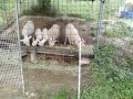 IMG_20260531_064135