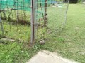 IMG_20260531_064627