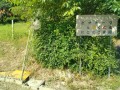 IMG_20260601_083934